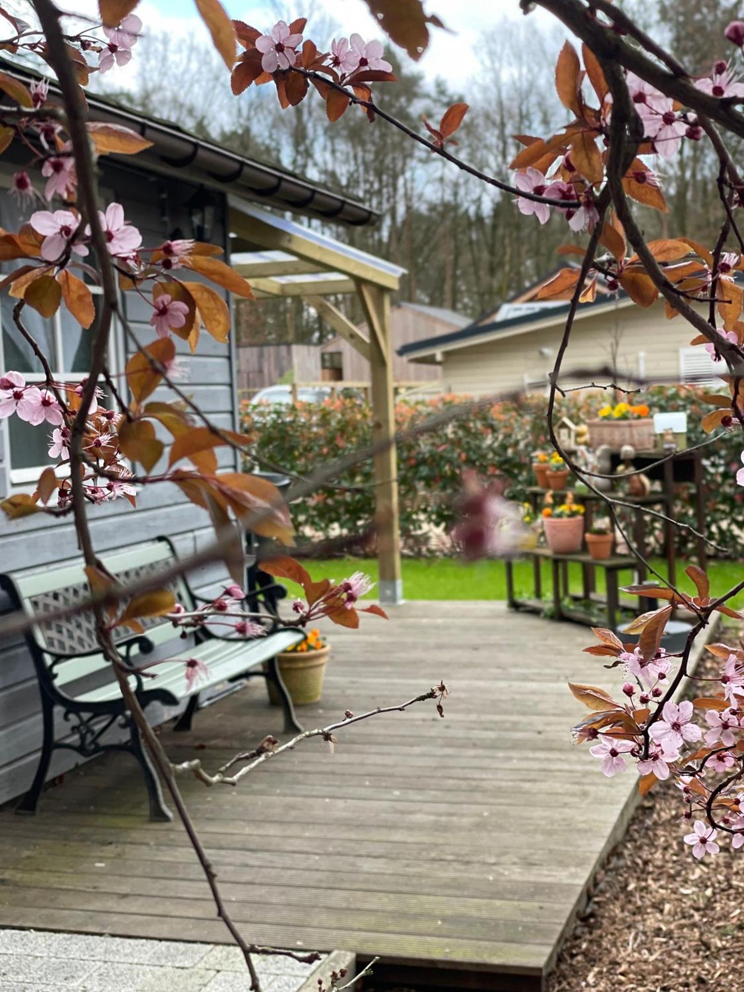 Chalet Sint-Hubertus Du Bois Zutendaal Dış mekan fotoğraf