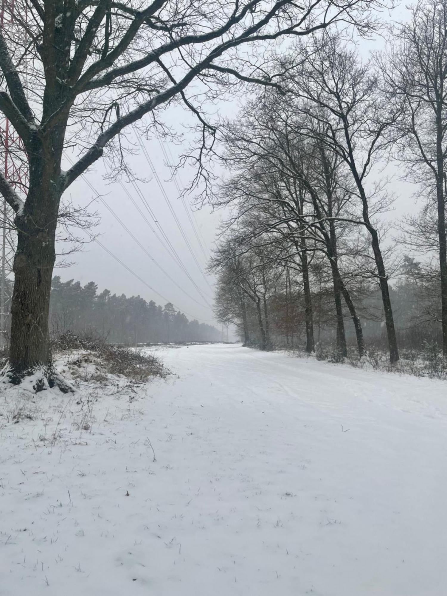 Chalet Sint-Hubertus Du Bois Zutendaal Dış mekan fotoğraf
