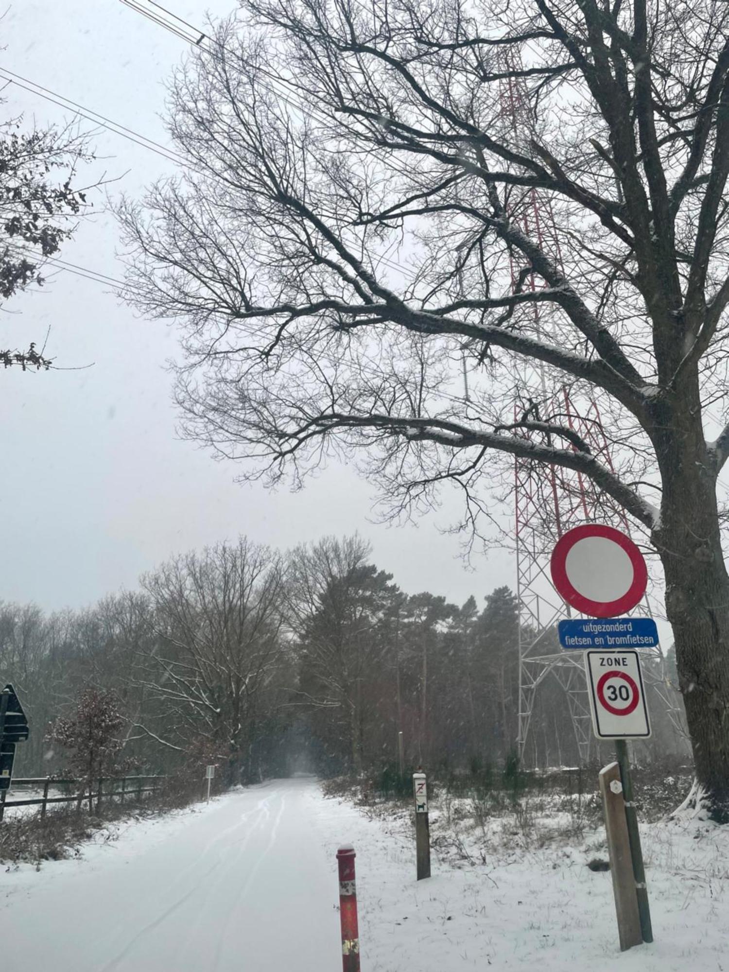 Chalet Sint-Hubertus Du Bois Zutendaal Dış mekan fotoğraf