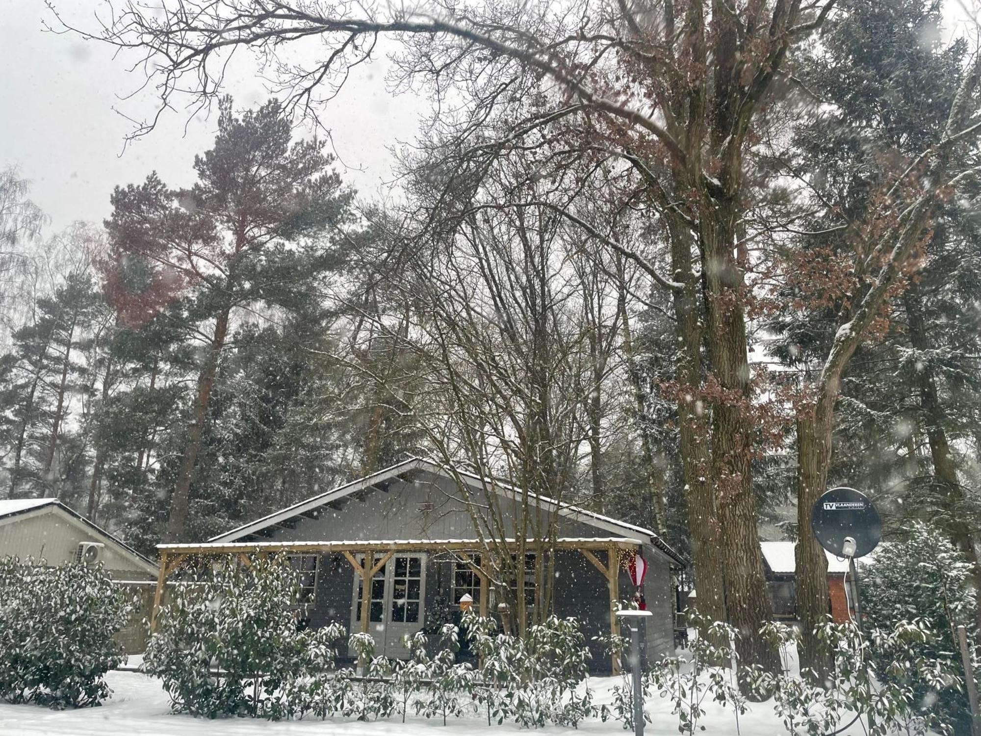 Chalet Sint-Hubertus Du Bois Zutendaal Dış mekan fotoğraf