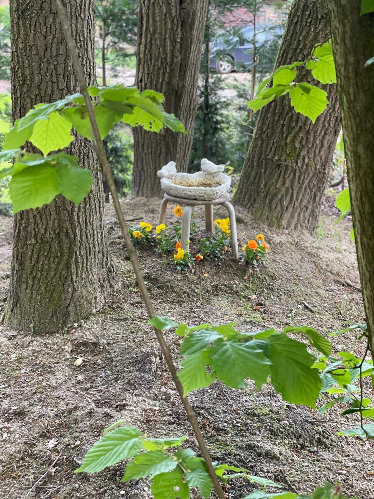 Chalet Sint-Hubertus Du Bois Zutendaal Dış mekan fotoğraf
